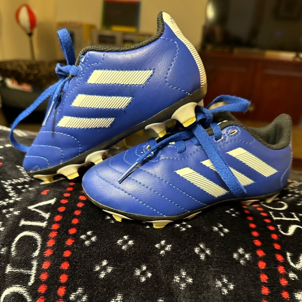 Stylish blue soccer cleats